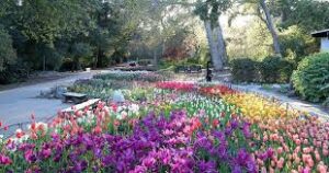 Discanso Gardens