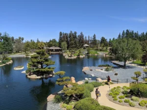 Japanese garden